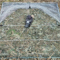 humane hunting mesh sparrow leg snare traps